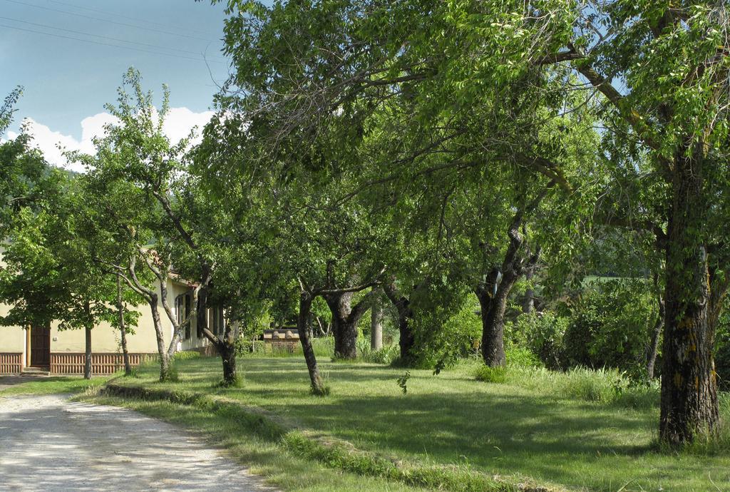Agriturismo Il Casalone Montepulciano Stazione Dış mekan fotoğraf
